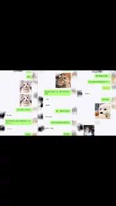 各种姿势无套中出